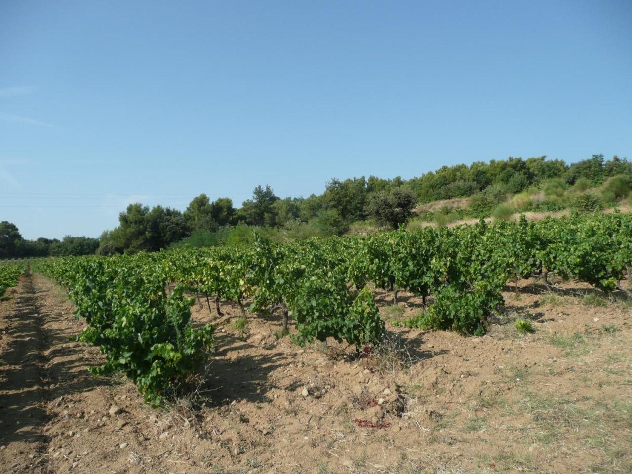 Gite Du Serre De Boudre Climatise, Spa Permanent Buisson Exteriör bild